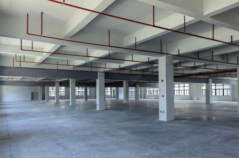 惠城新出独门独院精装修工业园标准厂房11元低价招租