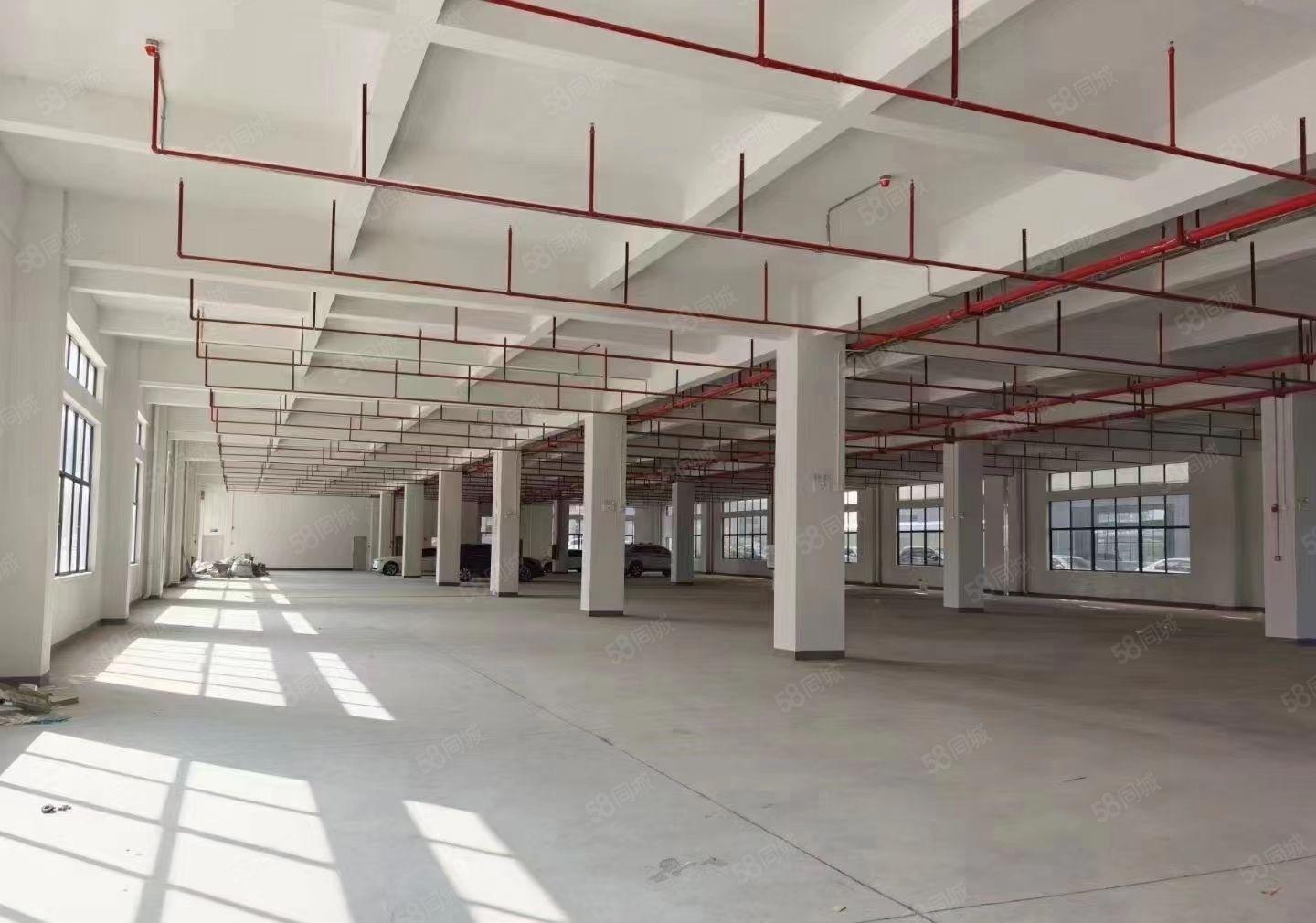 小金四角楼金龙大道工业园一楼2380平方重工业厂房出租