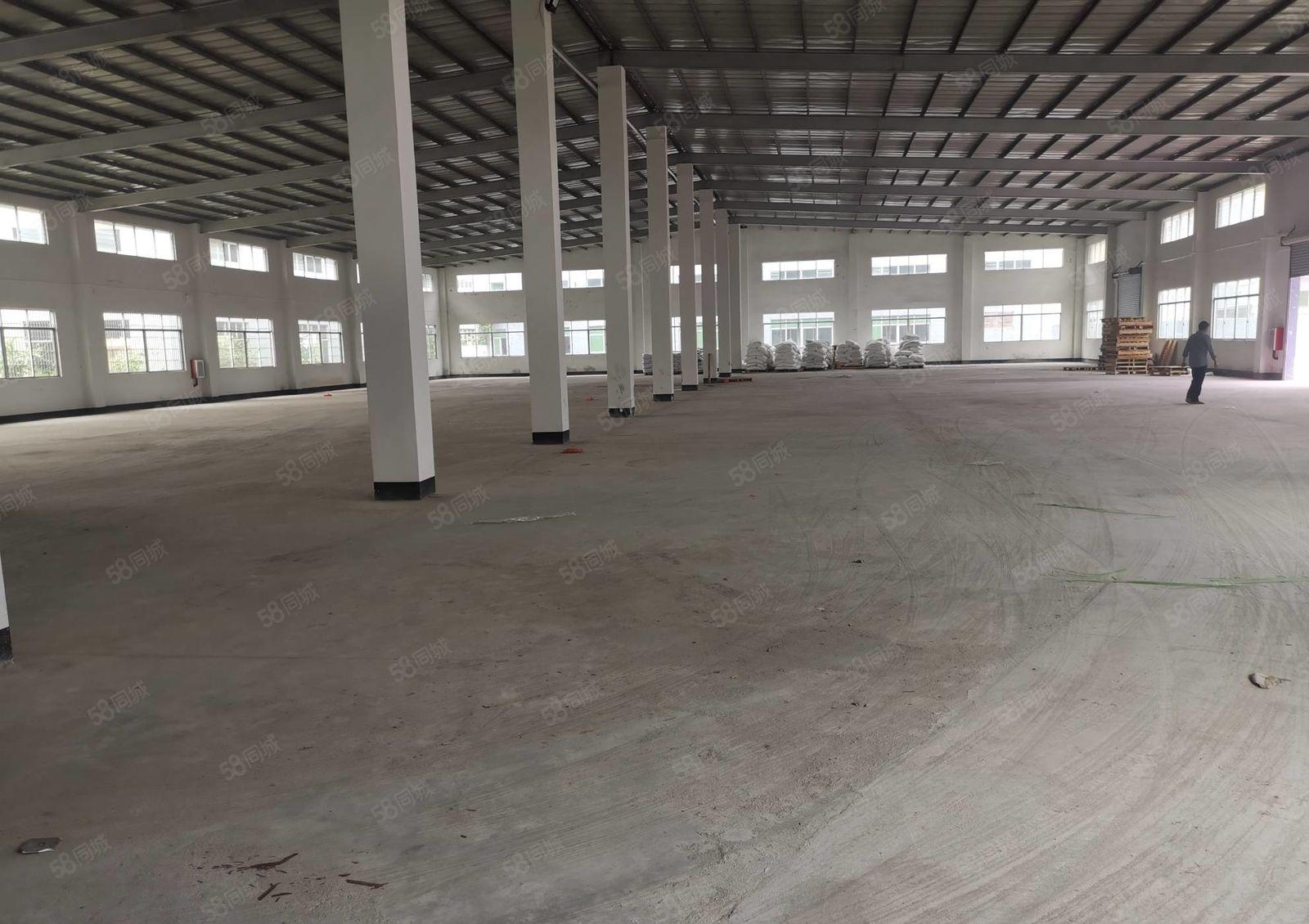 惠城区三栋数码工业区全新钢构厂房出租2300平方 高度9米