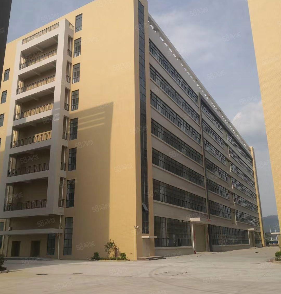 惠城区三栋数码园一楼标准厂房出租 1600平方 现成水电