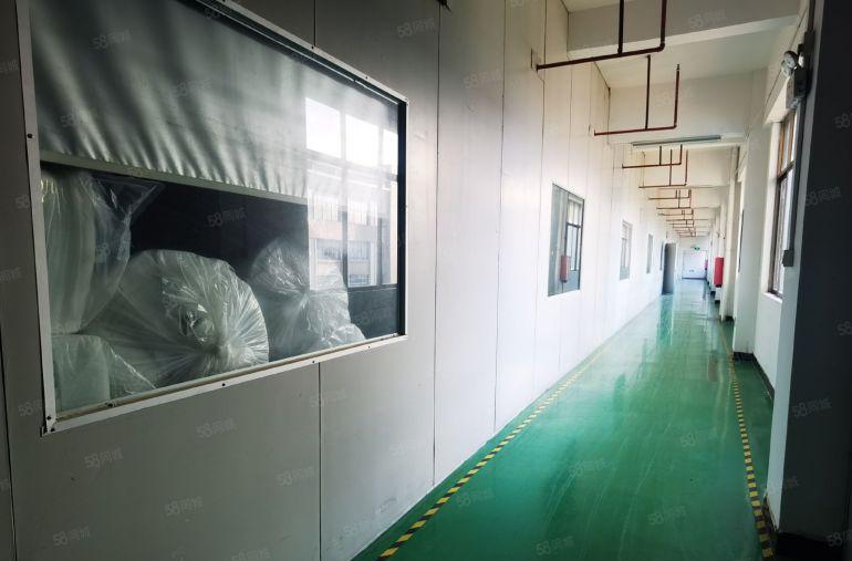 三栋新出标准厂房3600带精装修10元