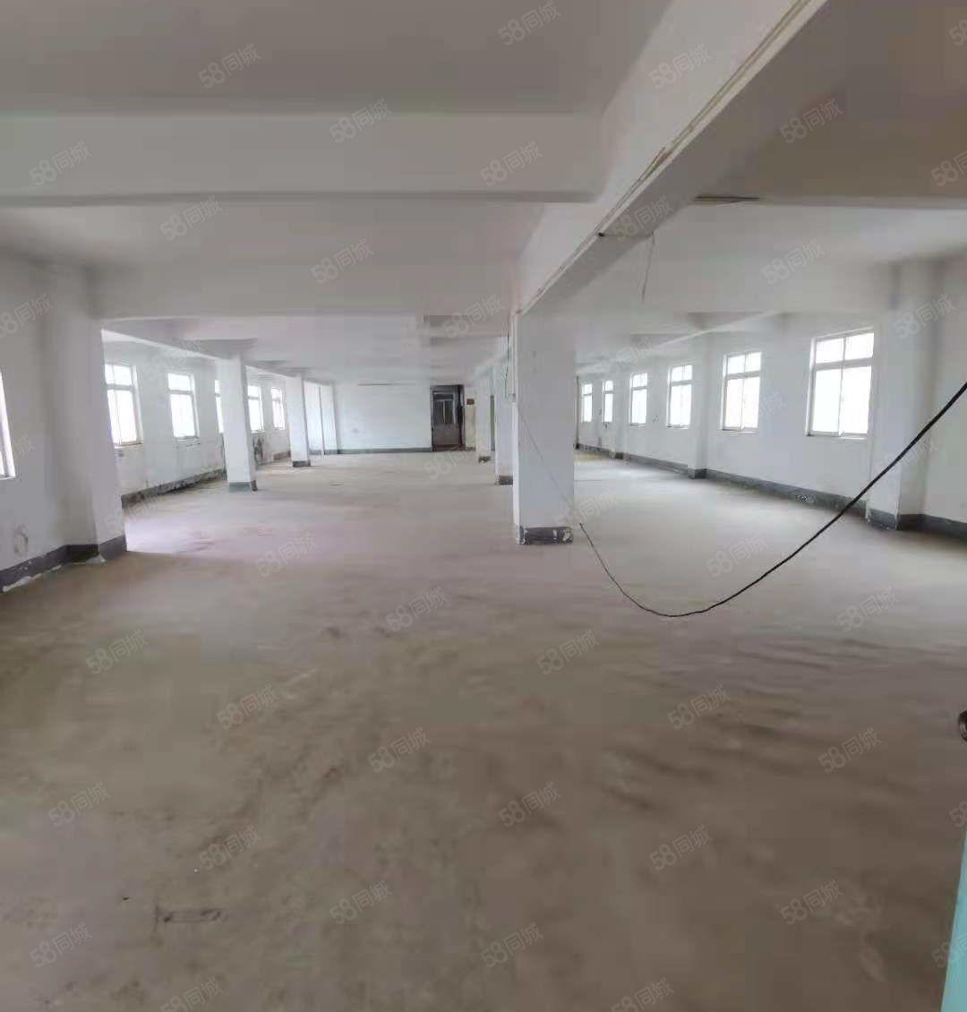独栋带电梯三层1750平方招租 可做物流 电子行业