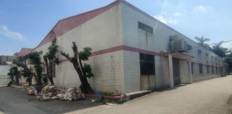 惠城小金口1000平独栋钢构厂房物流仓库出租实际面积主干道边