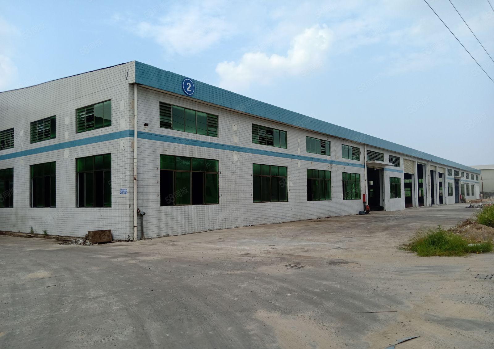 惠城区小金口高速出口工业区单一层钢构8千平方厂房出租可分租