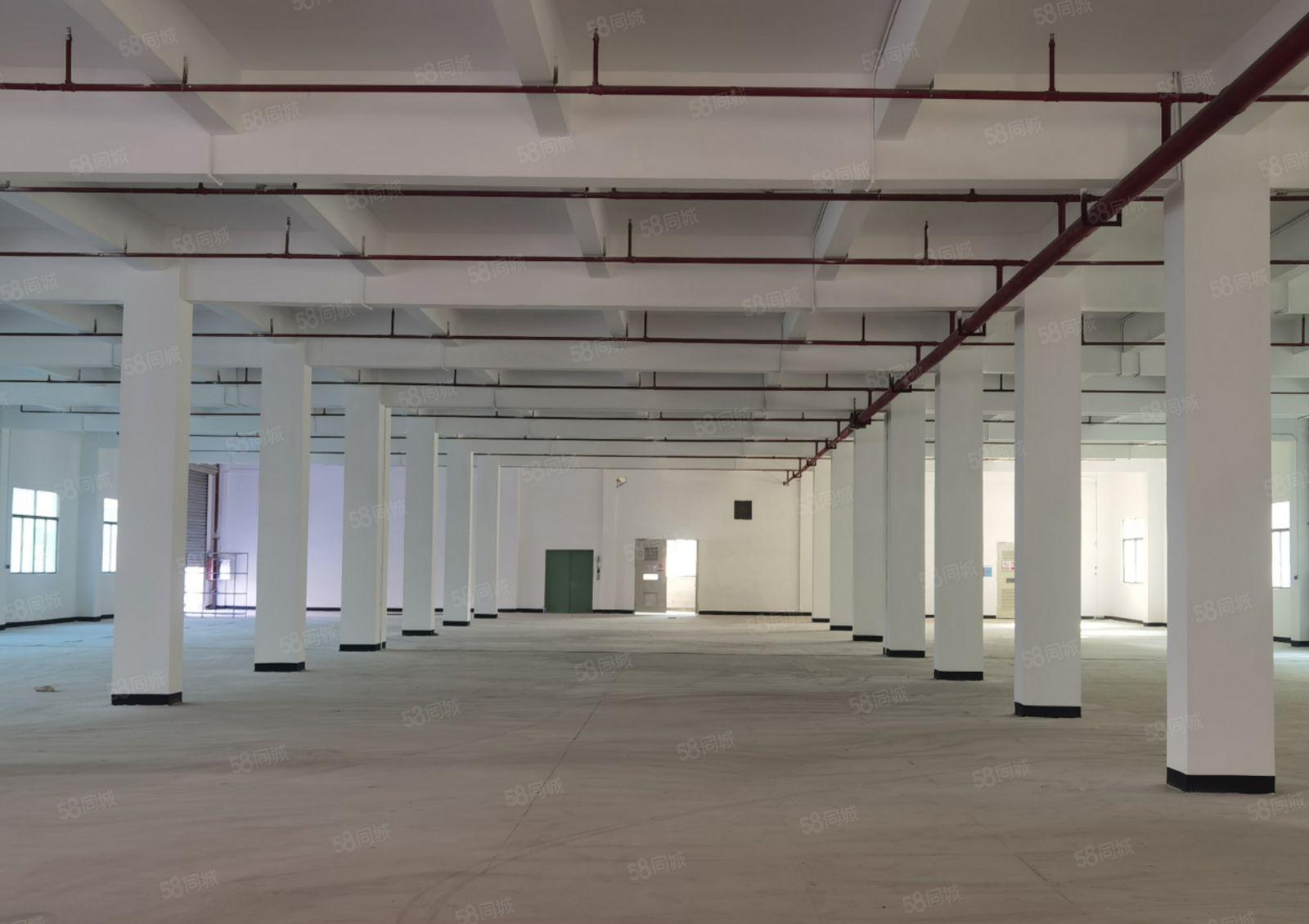 水口原房东红本工业园出租，一二三层6600平方有电梯