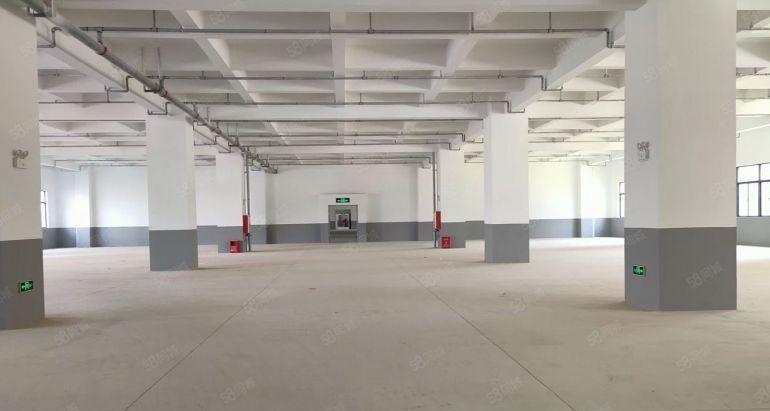 水口东江工业区8元平方全新厂房可分租