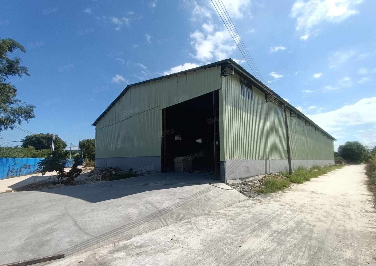 马安原房东新建单一层钢构1000平方，6米高，15元出租