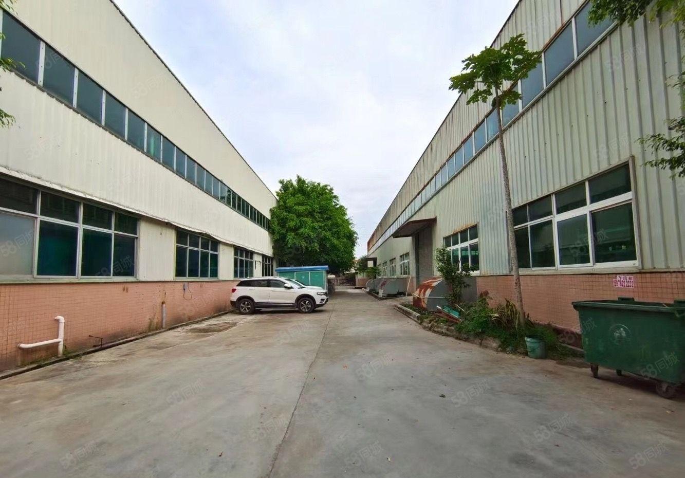 水口东江大道边单层钢构500平方起租独院厂房