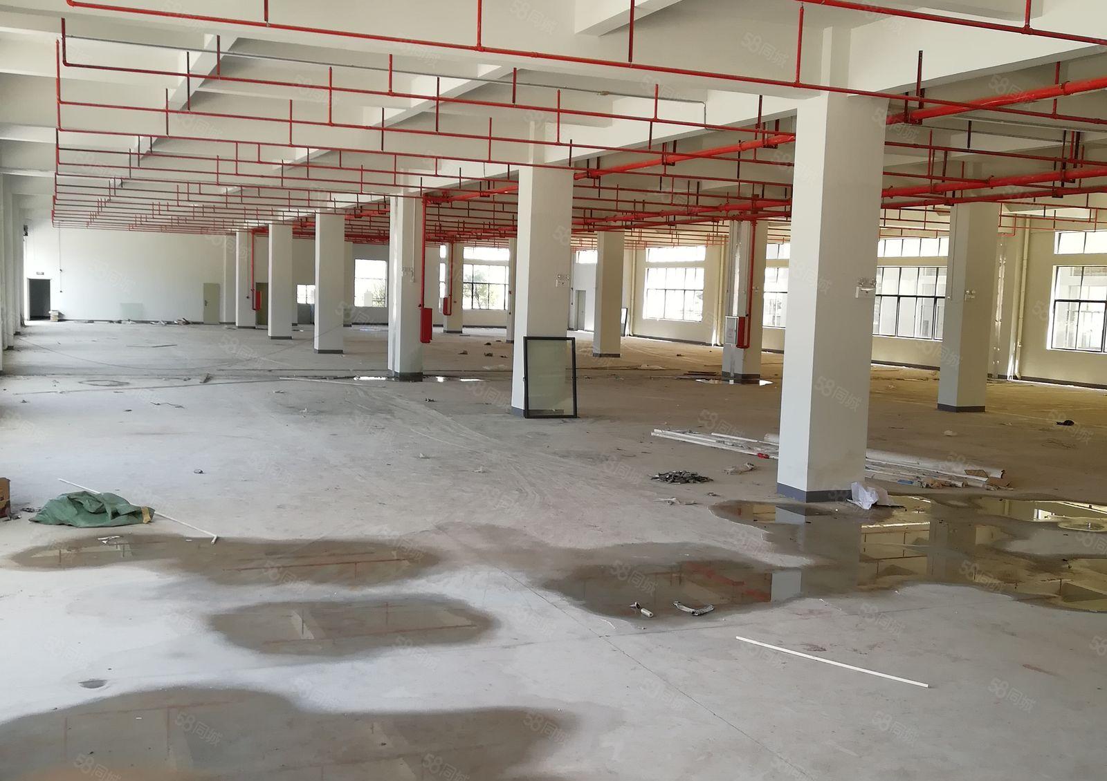 水口仲恺高新区全新厂房火热招租中1000平方起租