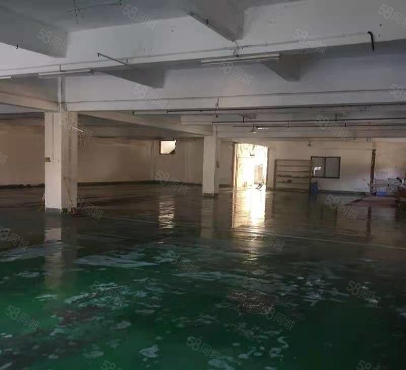 惠城区小金口柏岗厂房招租，交通便利，水电到位，现低价招商