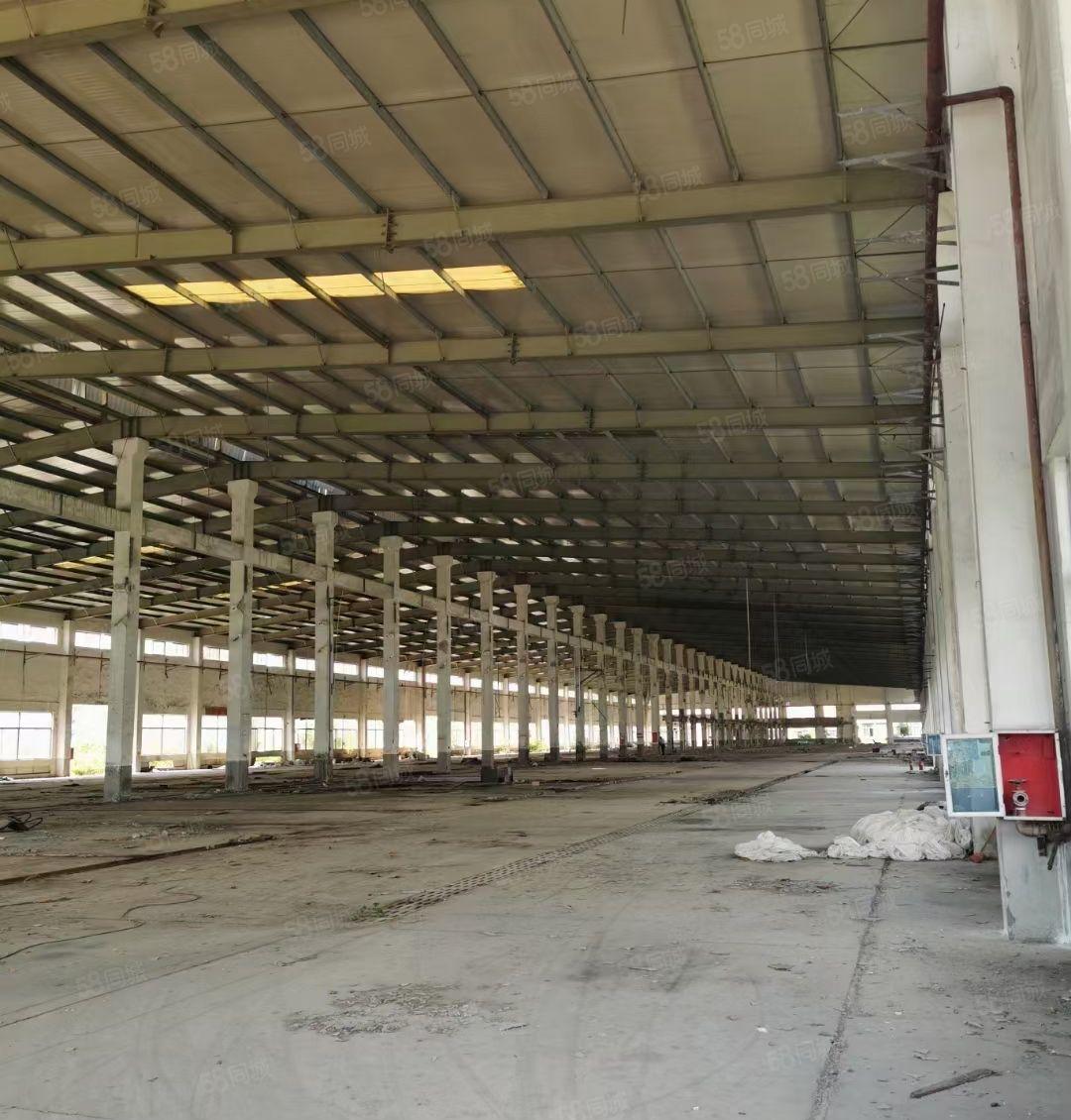 惠城区滴水10米，单一层钢结构厂房仓库出租60000平方