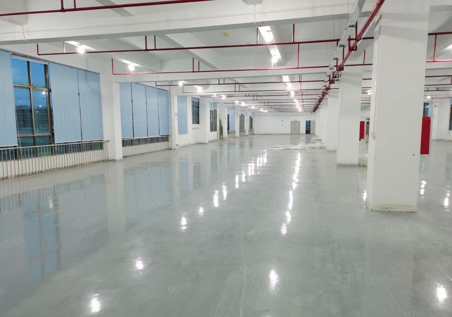 (精装修)东江高新区花园式厂房1700平出租证件齐全