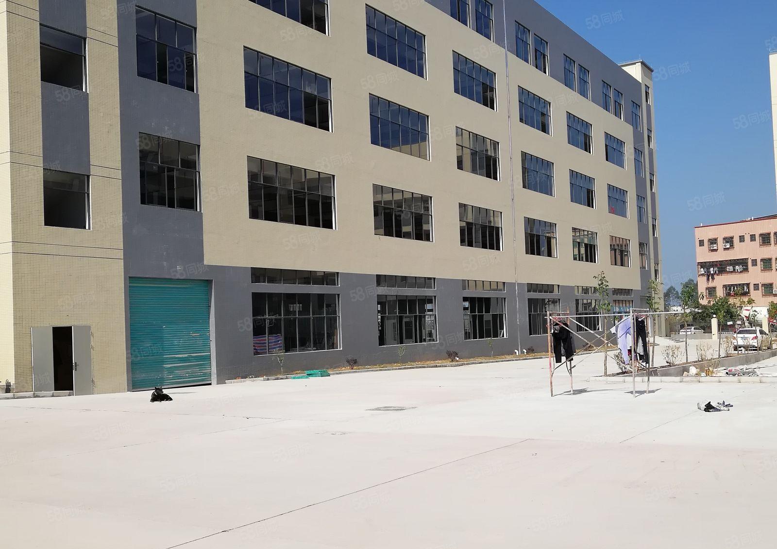 水口仲恺高新区全新厂房火热招租中1000平方起租