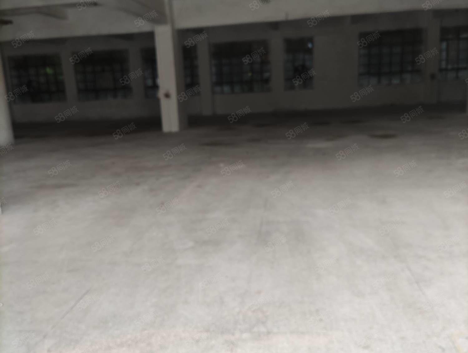 惠城区小金口乌石原房东二层600平方招租