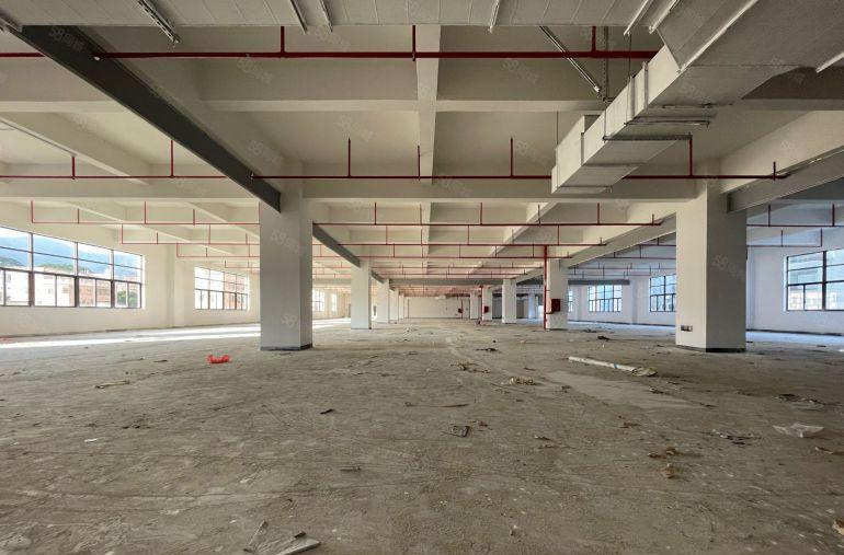 全新原房东红本标准厂房36000平任意分租