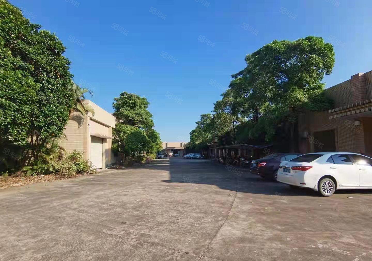 惠阳沙田田头独院单一层4700平方带红本