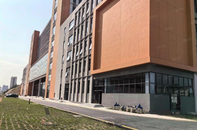 惠阳三和全新独栋厂房5000平 单层面积1000平低价出租