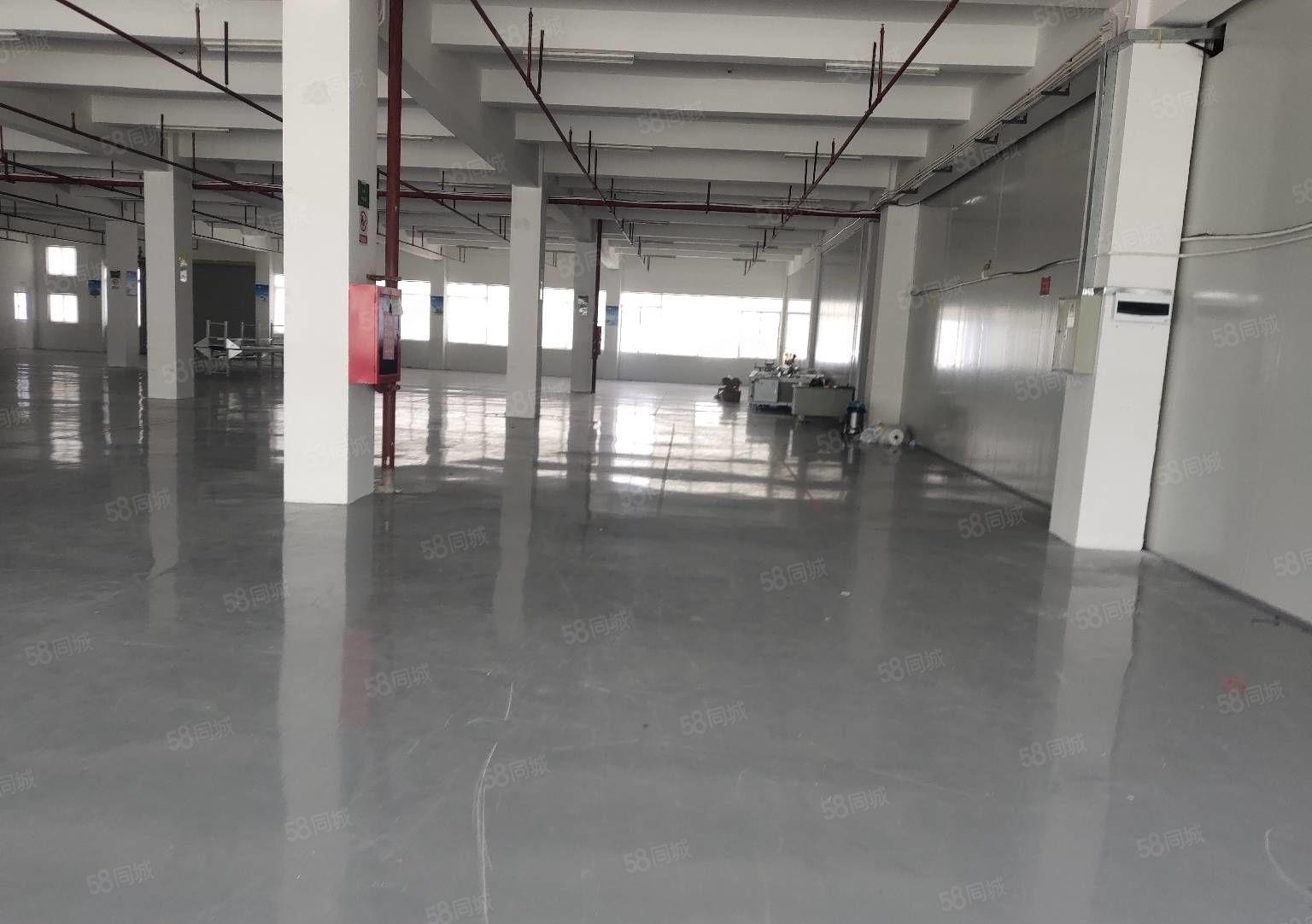 惠阳秋长原房东工业园区红本厂房出租300平起分租可办环评一楼