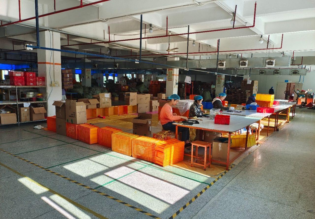 10年合同惠阳沙田独院标准厂房3层共4600平招租！