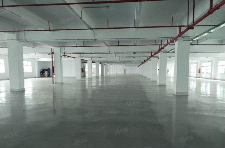 三和经济开发区25000平方现成装修厂房出租 可分租超大空地