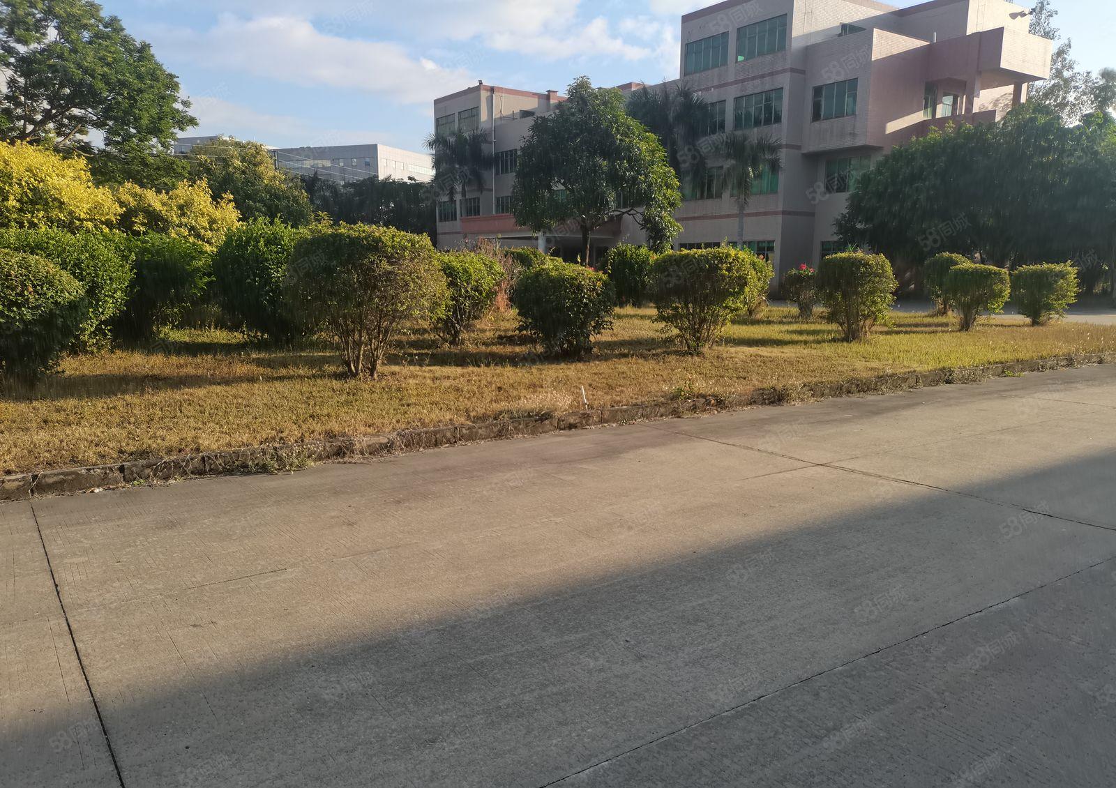 惠州惠阳秋长茶园工业花园式钢构厂房一楼3000平米厂房出租急