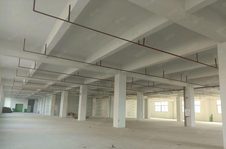 惠阳原房东独院厂房出租