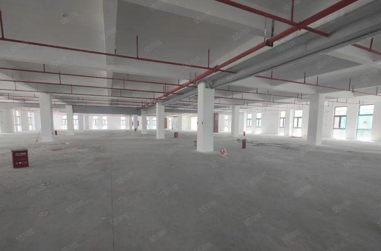 临深秋长湾东智谷全新红本厂房直租，无公摊