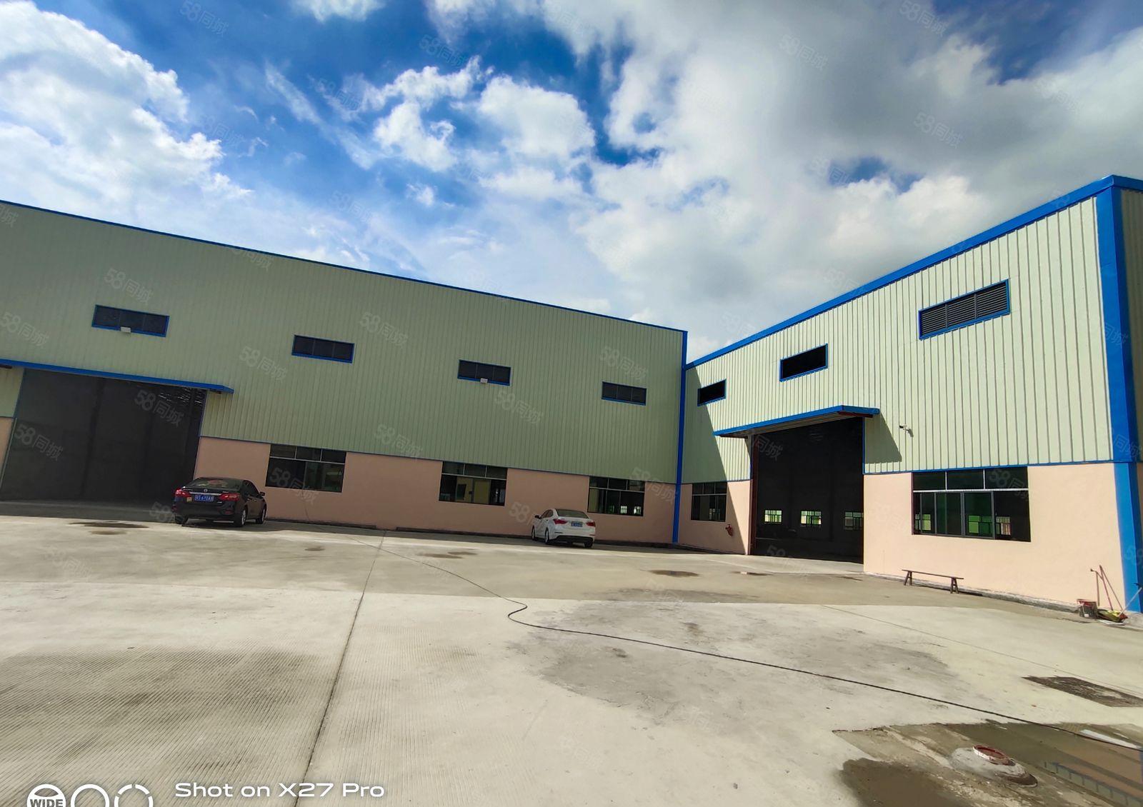 新圩长布新出3000平方单一层钢构！滴水9米，可大小分租！！