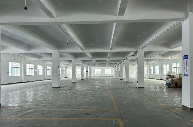 临深，临深惠阳区秋长白石9元原房东标准红本厂房出租