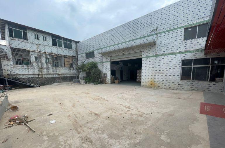 新出原房东独门独院1100平钢结构厂房