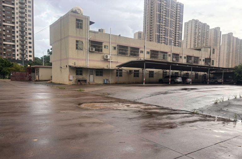 13元！独院滴水8米空地大钢结构厂房仓库2000平出租