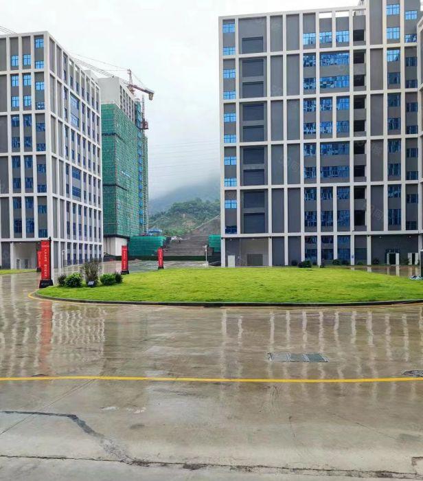 9.9块惠州市全新红包厂房10004万