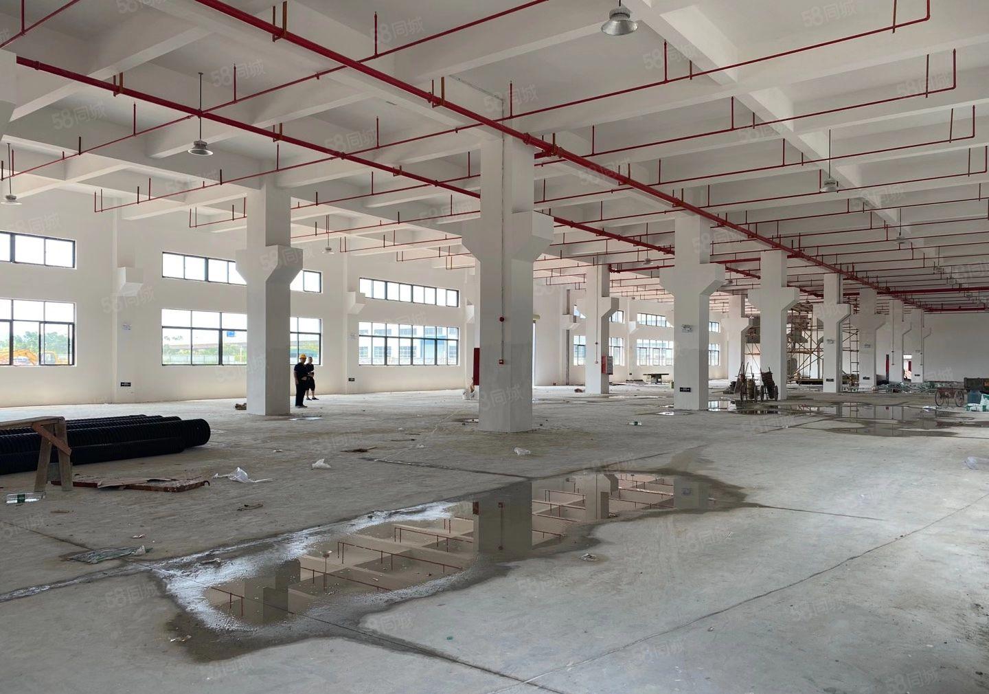 全新厂房出租，一二楼各2000平米（可分租）