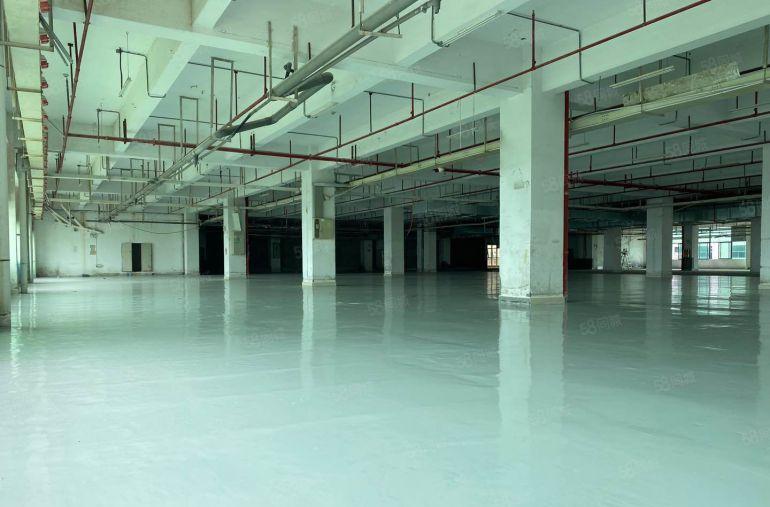 惠州镇隆原房东标准厂房出租