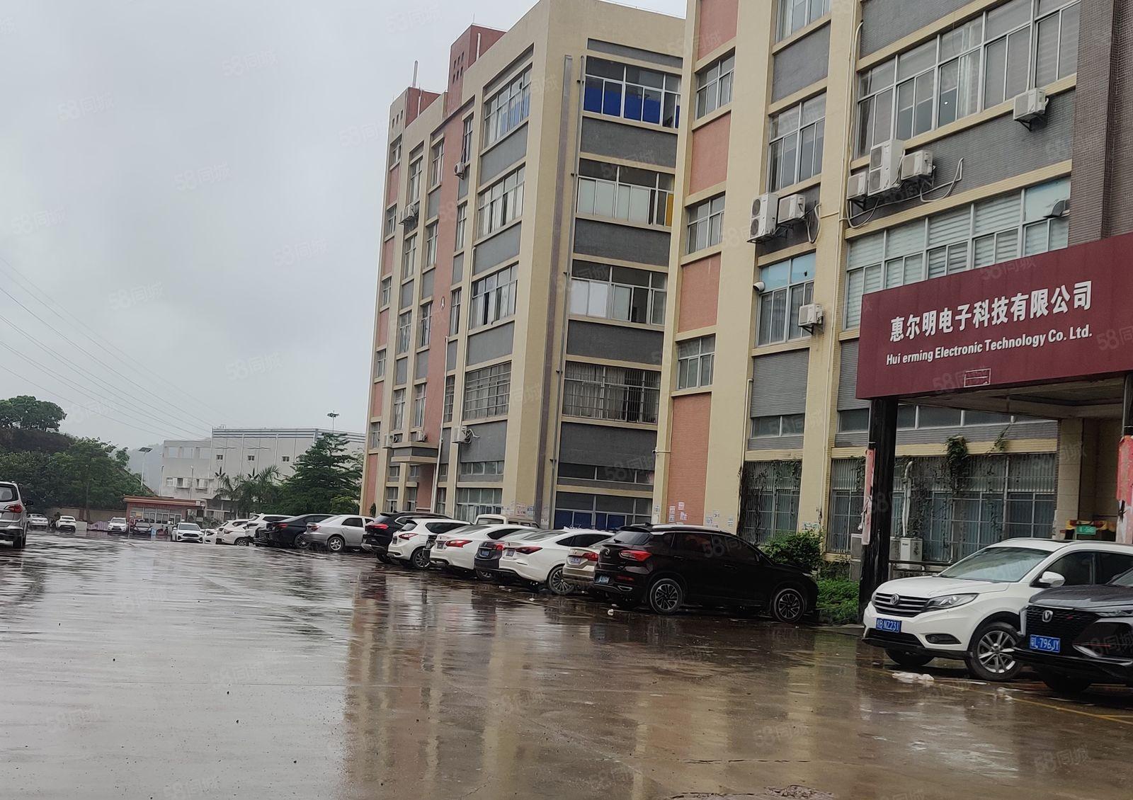 惠阳淡水新出楼上带装修1000平方独立整层三吨电梯价格12