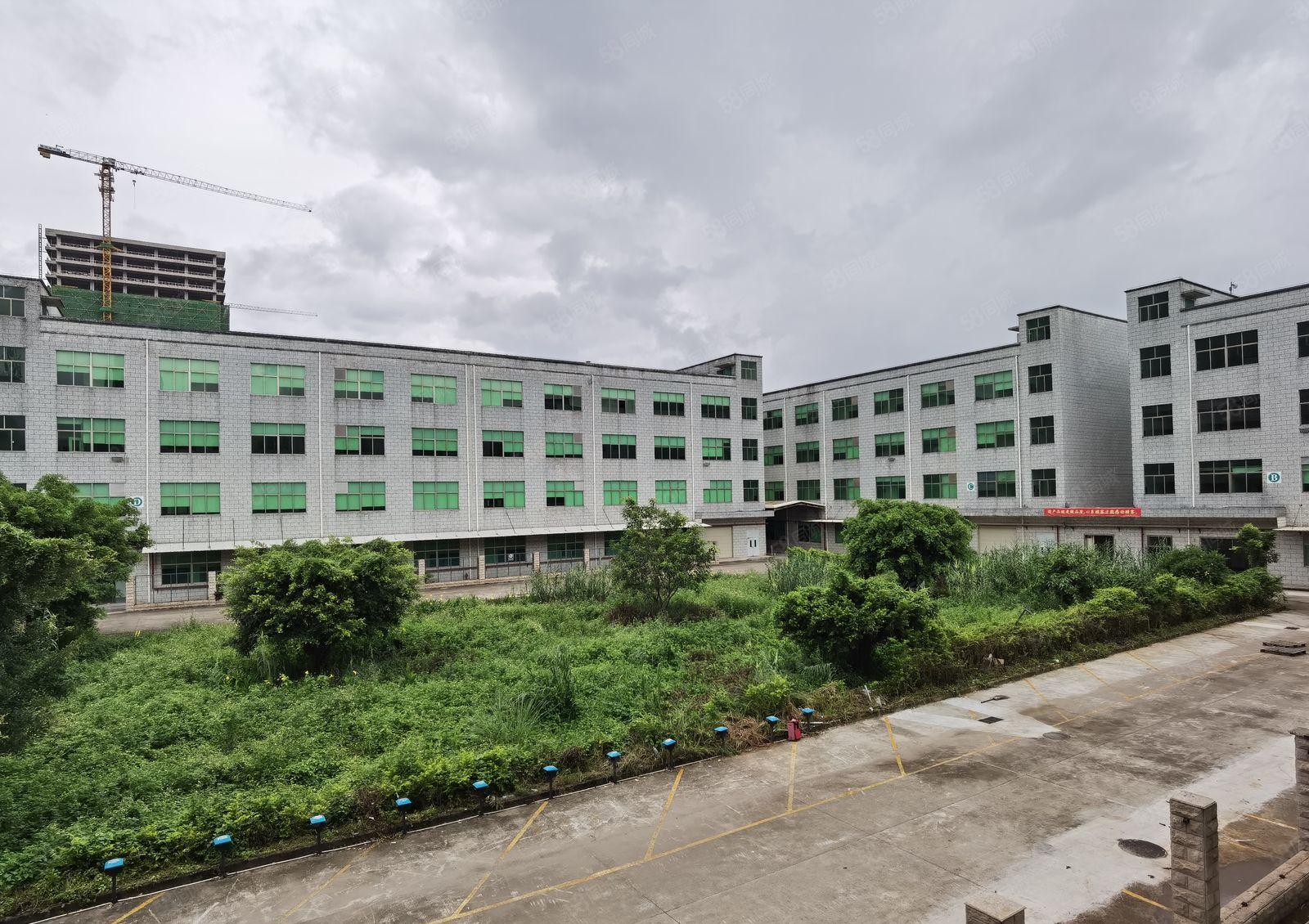 惠州市惠阳秋长镇50000红本标准厂房原房东招租