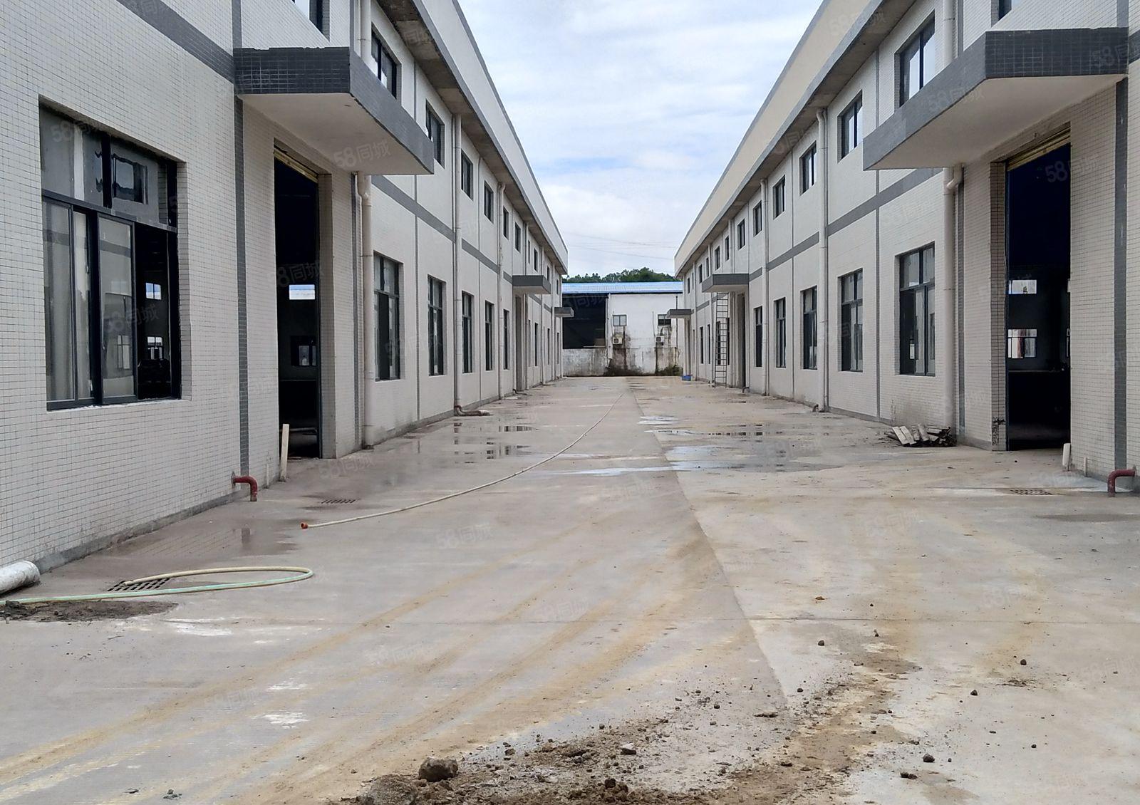 全新单一层钢结构厂房出租，2500平米2栋