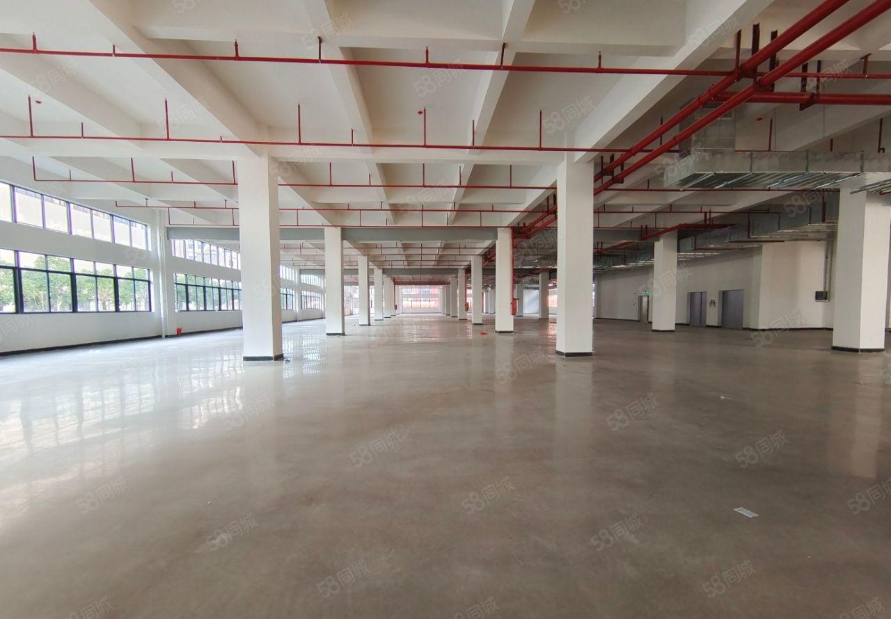 平潭怡发单层2200~4300平方全新红本厂房招租大小可分租