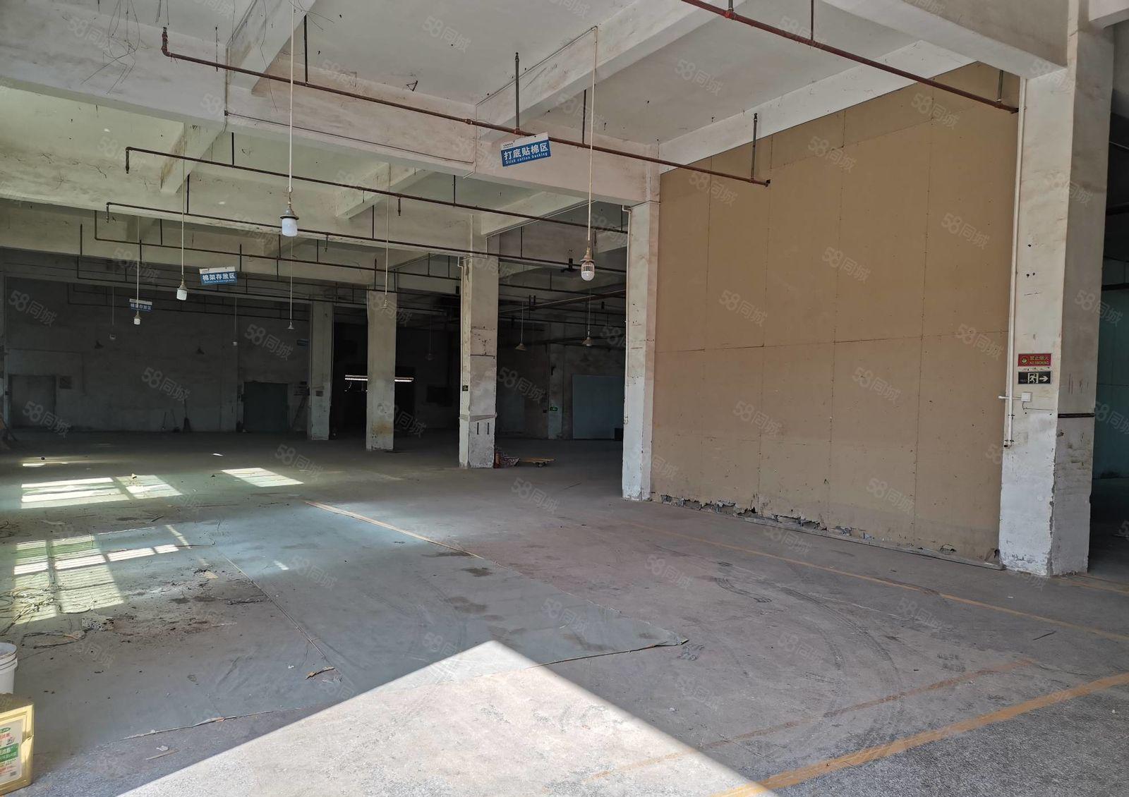 秋长白石新出独院标准厂房5250平一楼层高6.5米可办环评