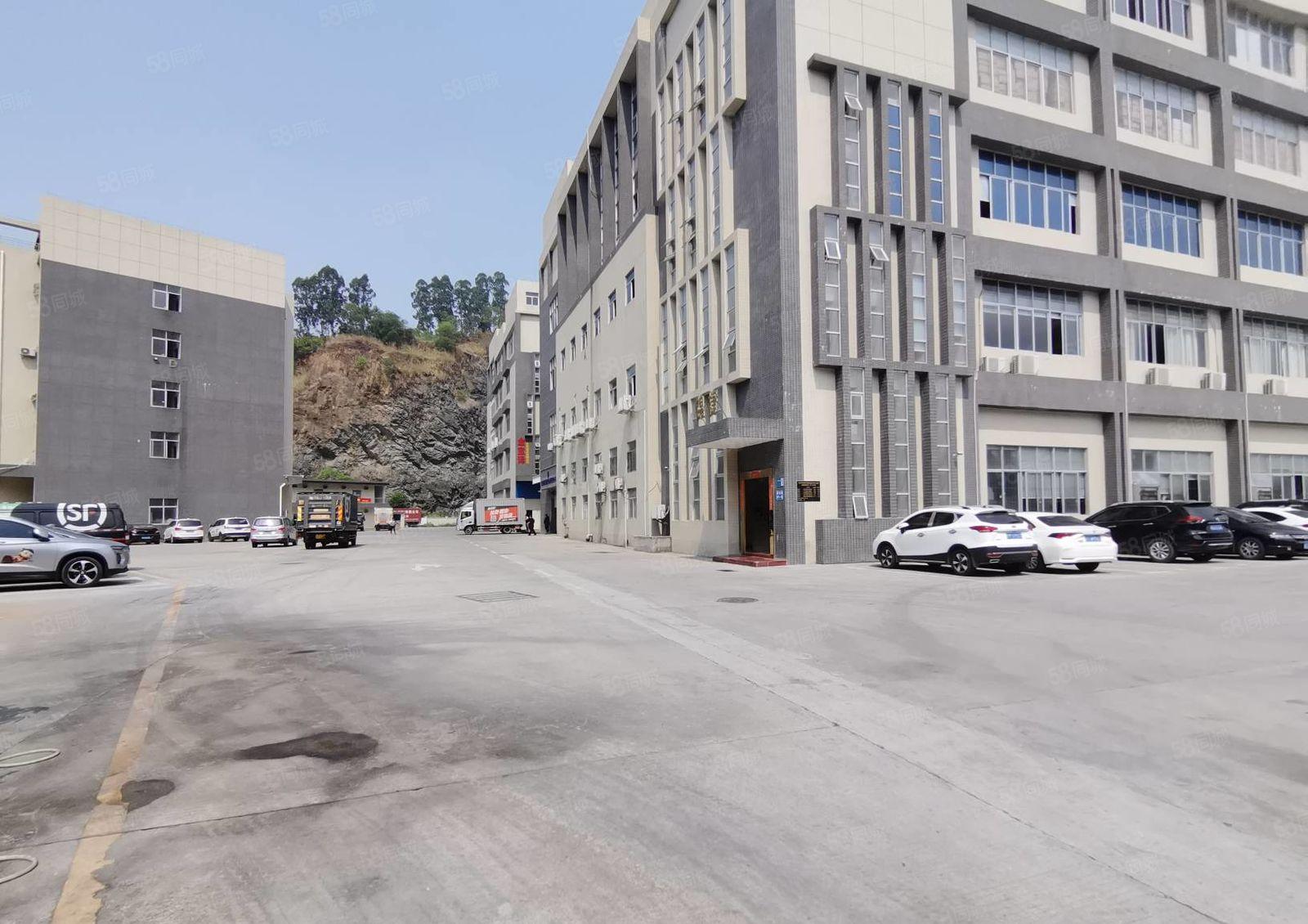 新圩镇成熟园区 新出楼上2200平厂房出租 园区空地大带装修