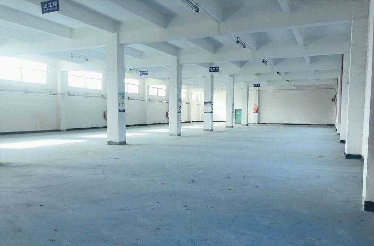 惠阳新圩临深独门独院原房东厂房低价11块出租，可分租