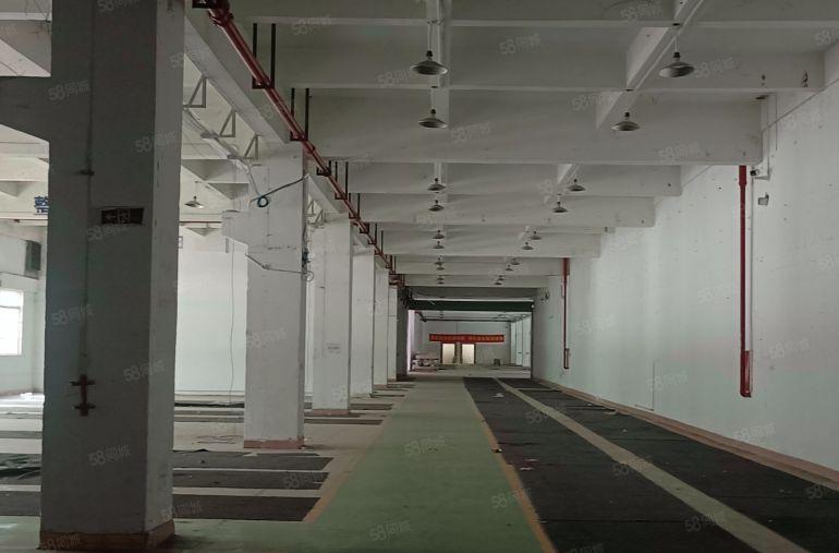 惠阳新圩205国道边新出原房东花园式厂房出租