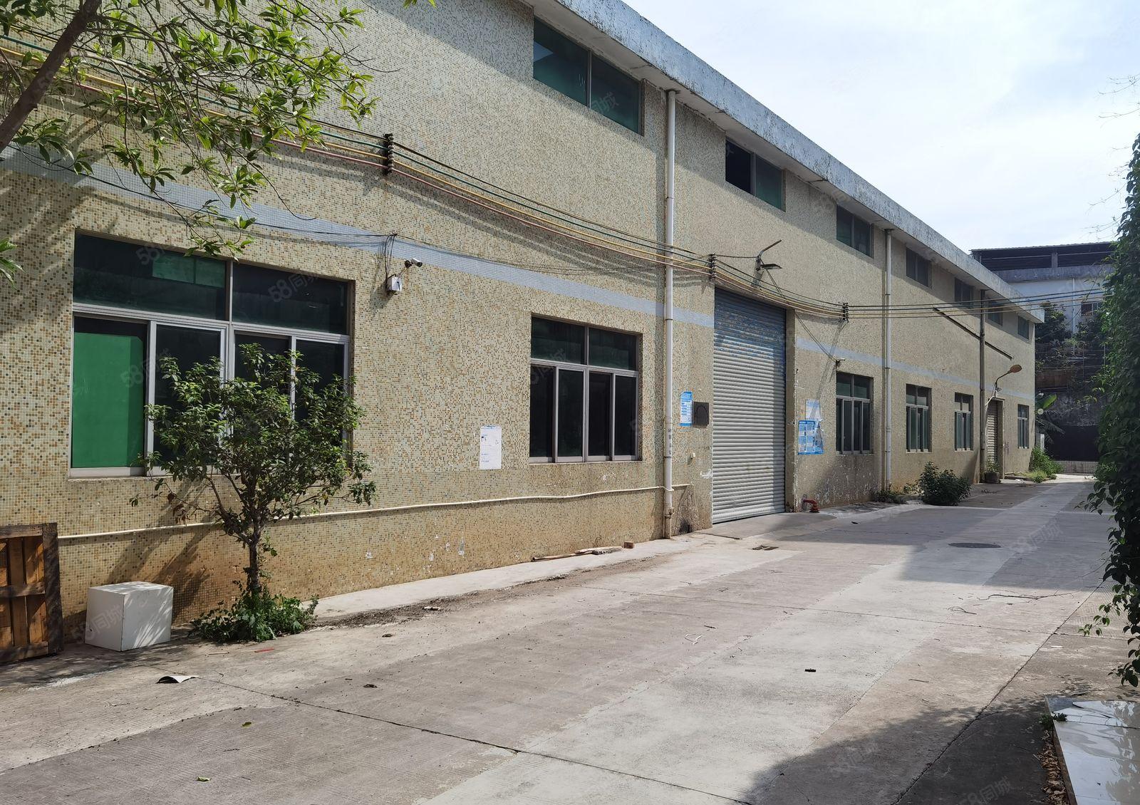 新圩 原房东1600平方独院钢构厂房出租仓库出租现成办公室