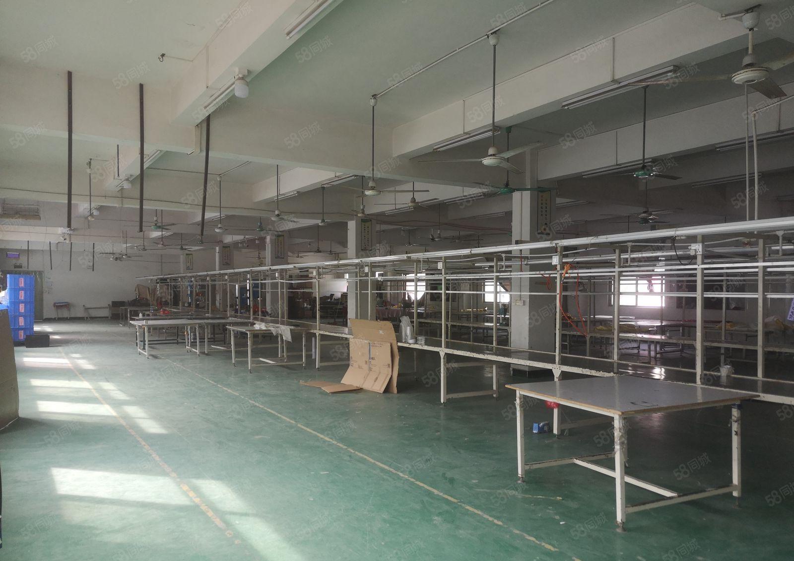 秋长镇新出原房东独院5000平厂房出租 带装修带装修