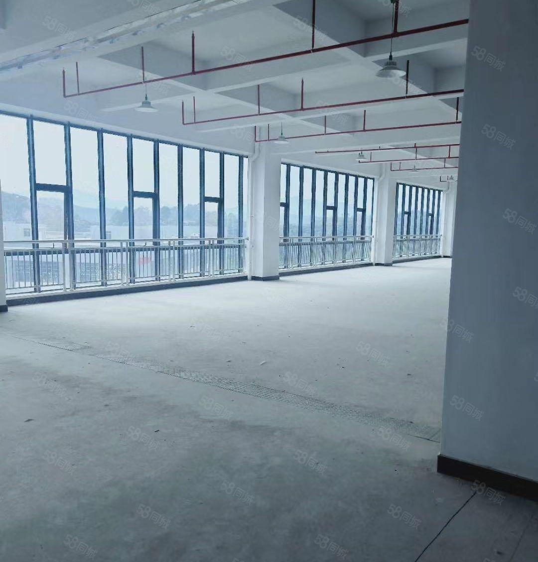 惠阳永湖工业区全新校准厂房出租3万平方 大小可分租