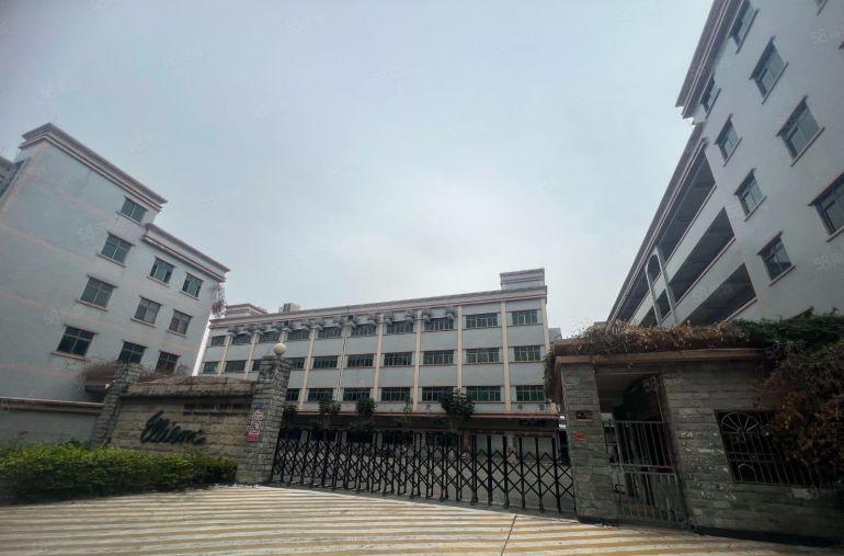 原房东独门独院标准三层厂房精装修办公室