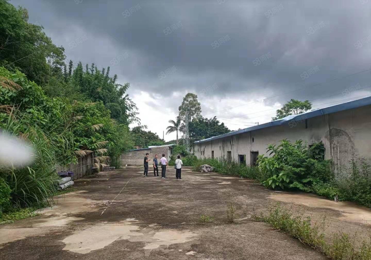 空地5000平免费用惠阳独门独院不限行业钢构厂房2000