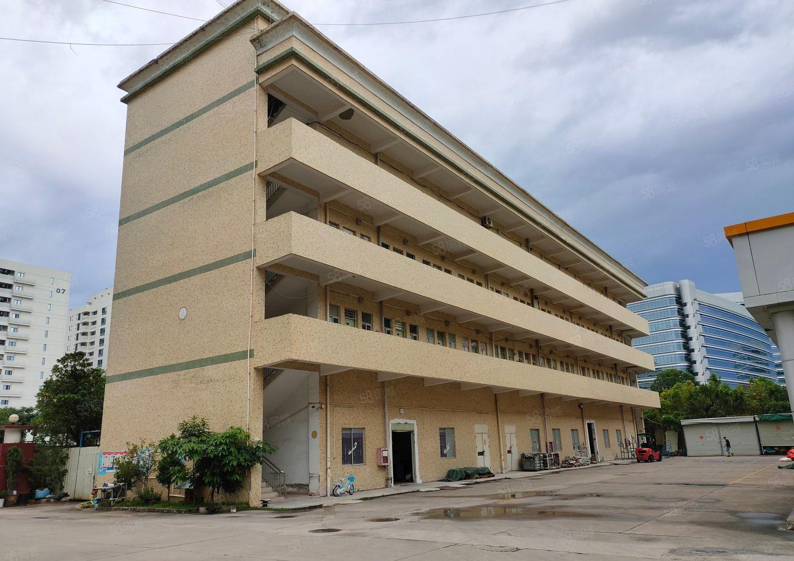 秋长白石黄氏工业园原房东红本标准一楼厂房1500平出租可分租