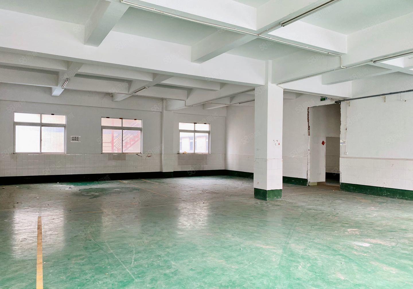 惠阳区镇隆镇繁华地带园区厂房低价出租2006000平可分租