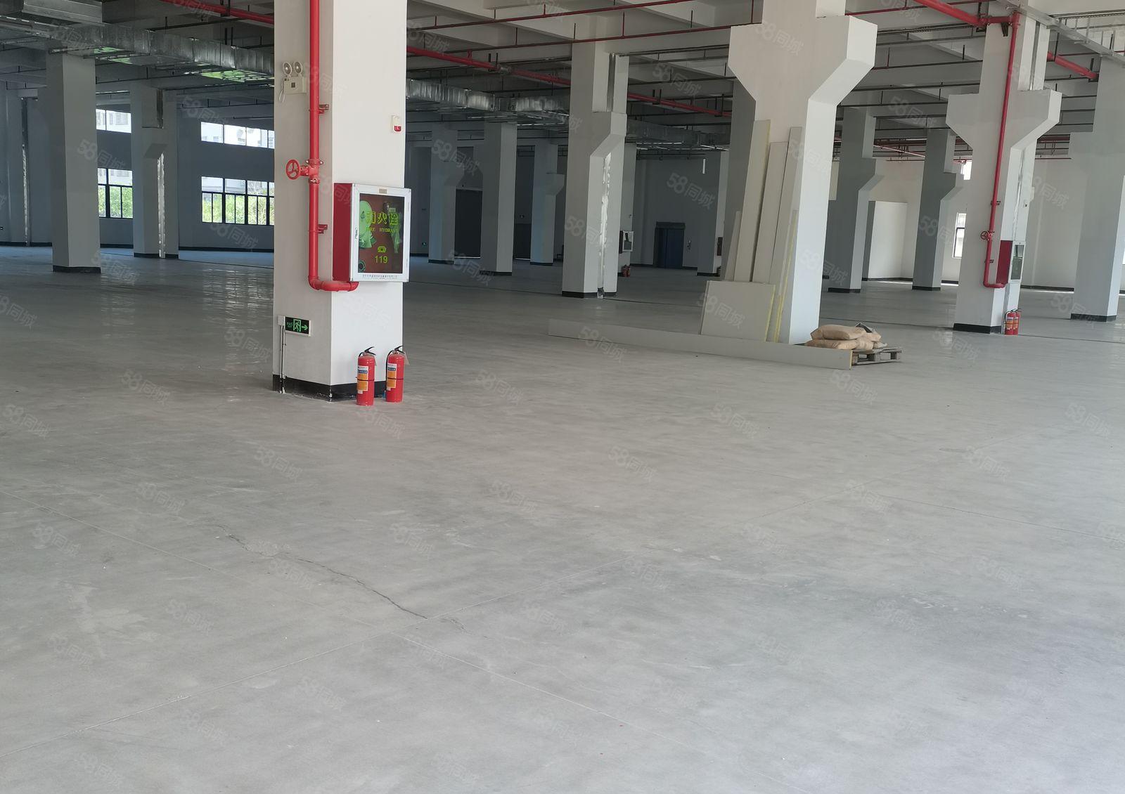 惠阳区原房东小独院2500平米厂房出租有红本可办环评可分租